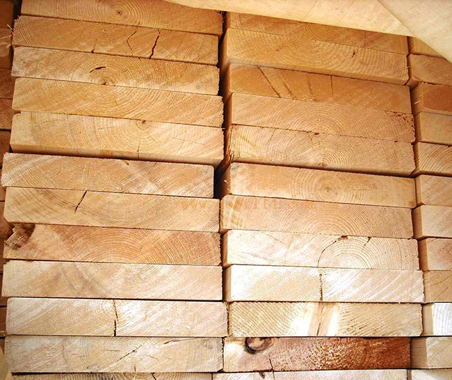 麦积智利辐射松方木