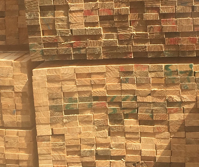 麦积新西兰进口松木